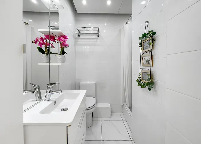 Lumineux, Wifi A Deux Pas De La Croisette