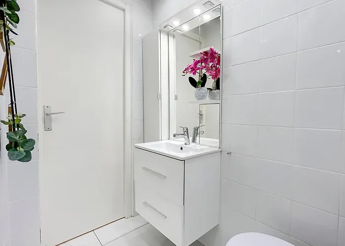 Lumineux, Wifi A Deux Pas De La Croisette *